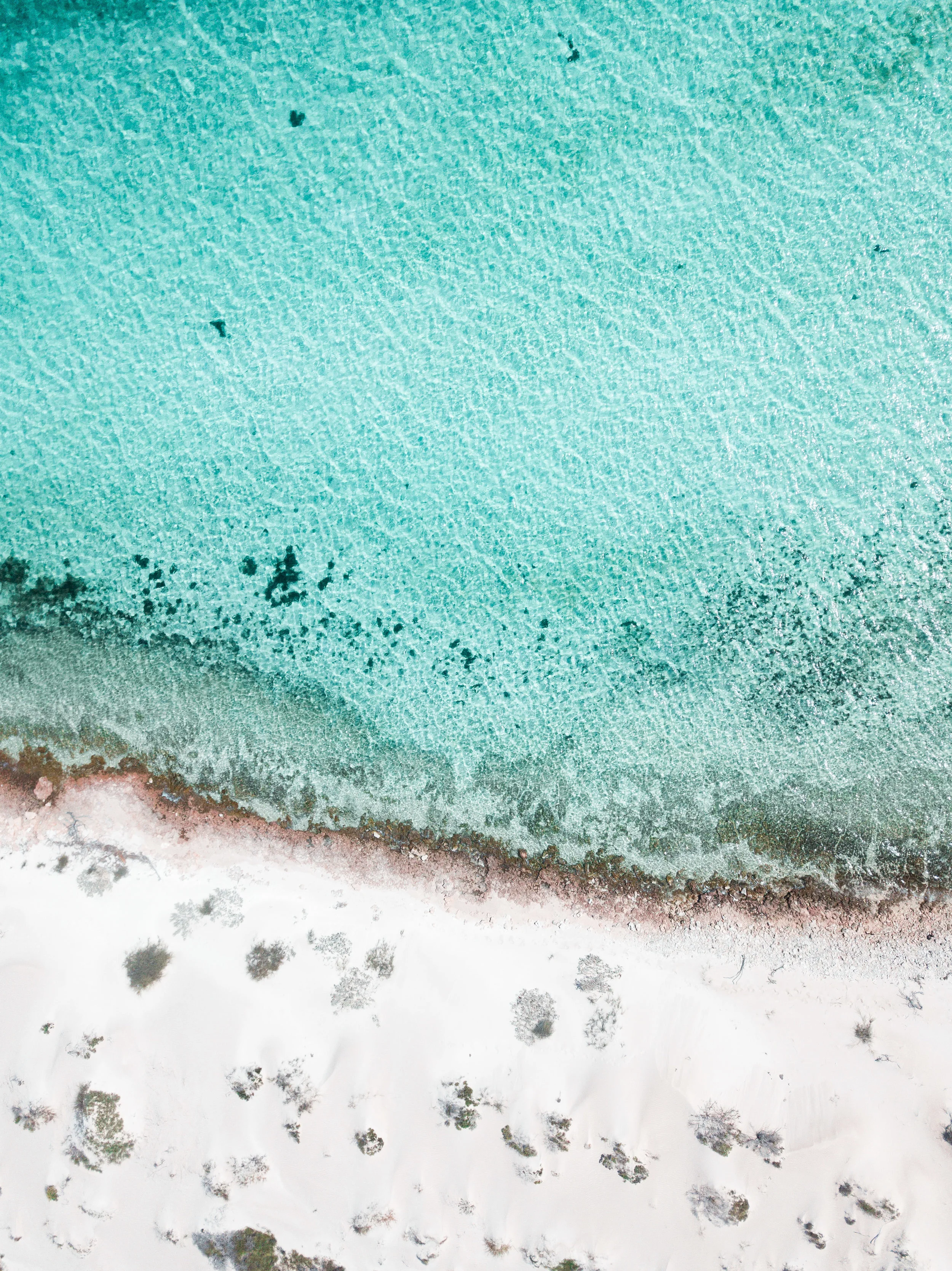 North+Blues+%28Portrait%29.jpg