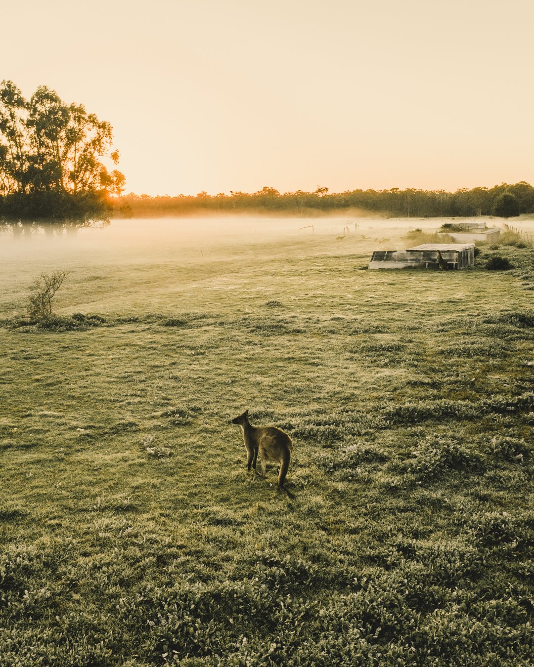 DJI_0542.jpg