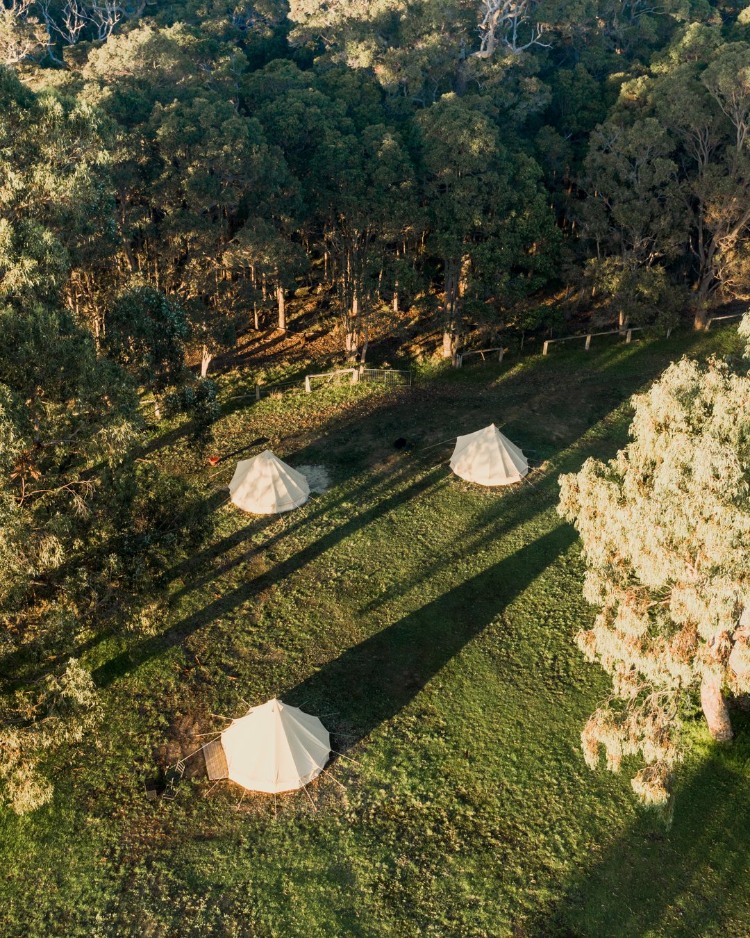 DJI_0569.jpg
