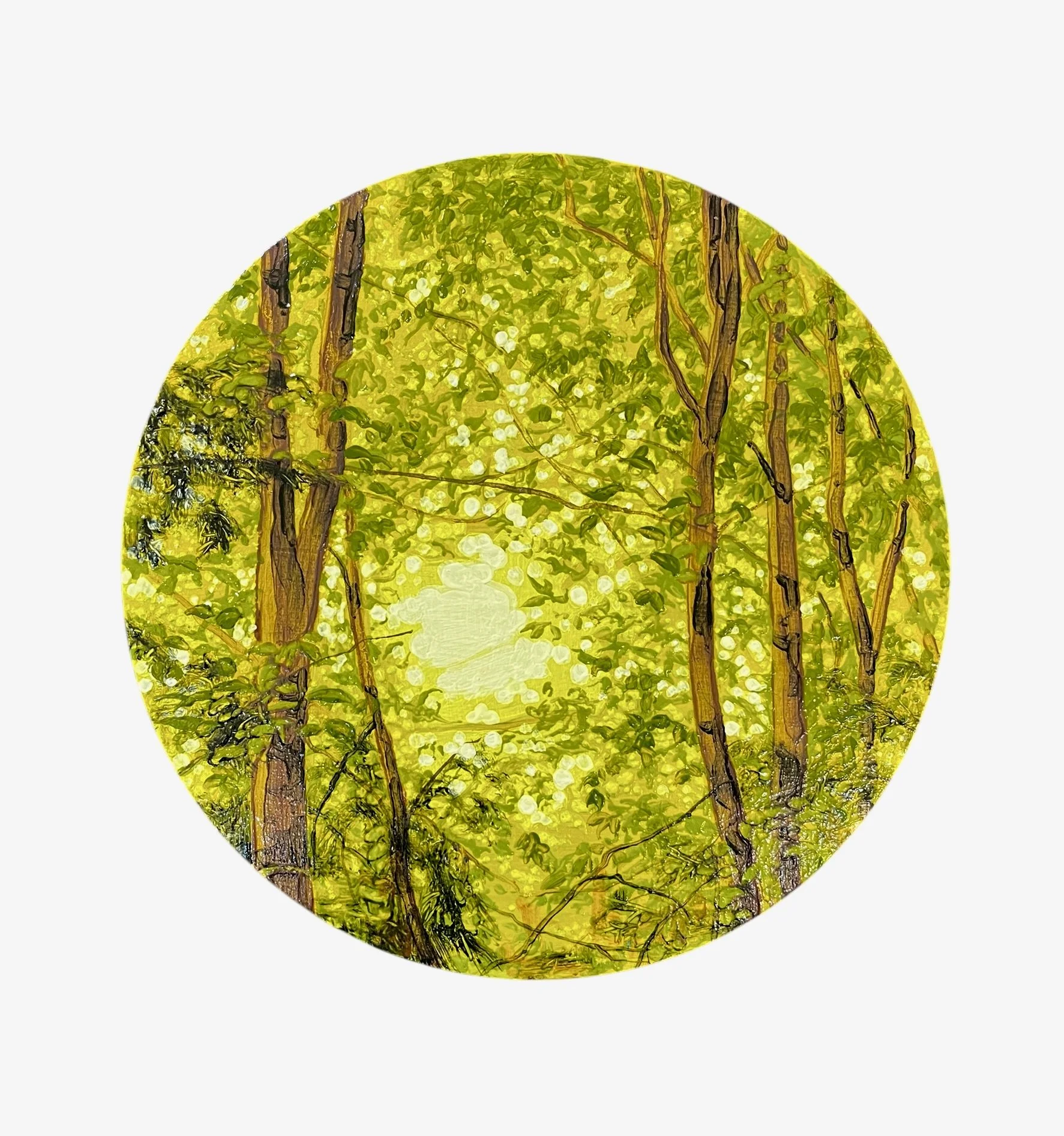 Rachel McDonnell, Grove 1.JPEG