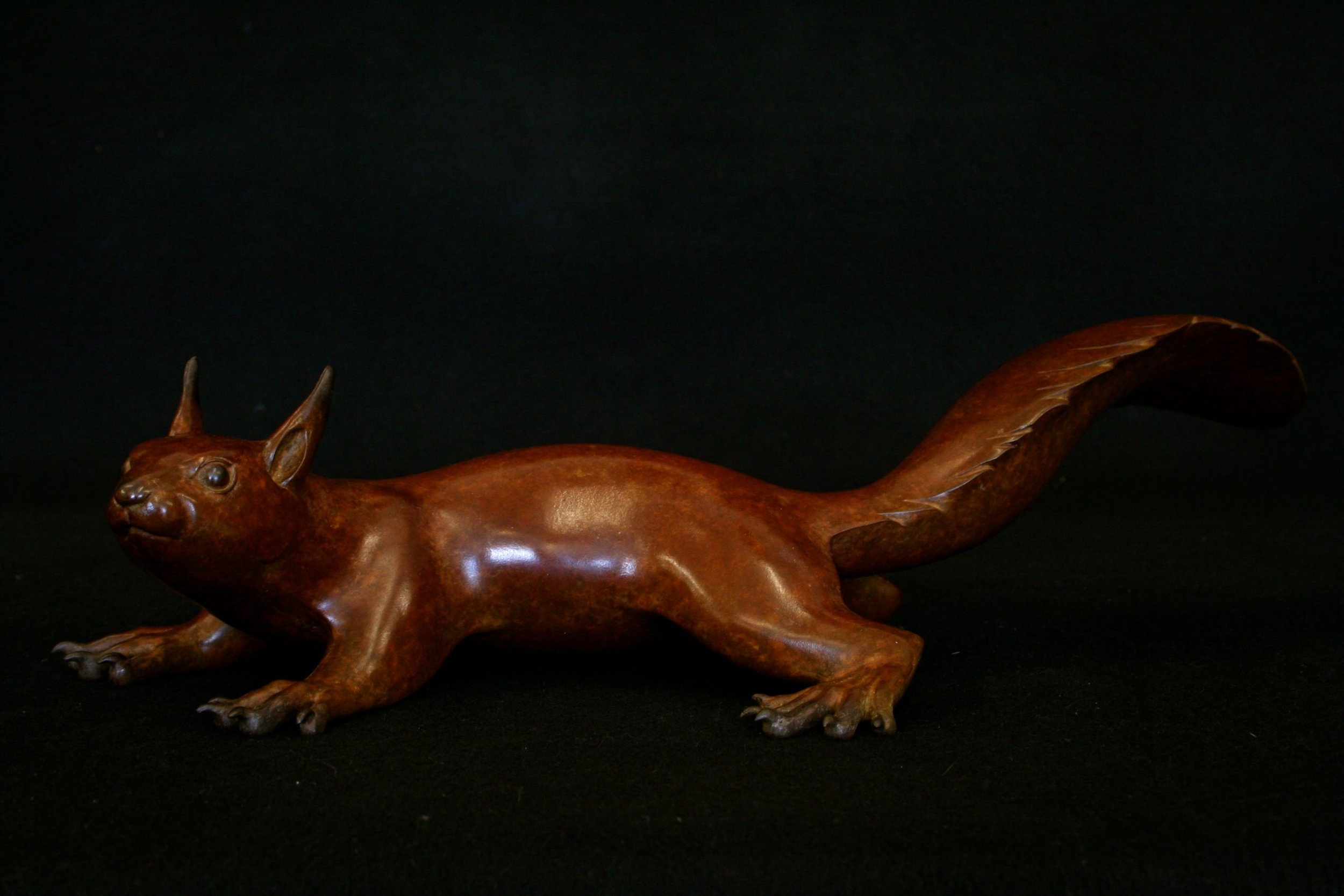 Squirrel-scaled.jpeg