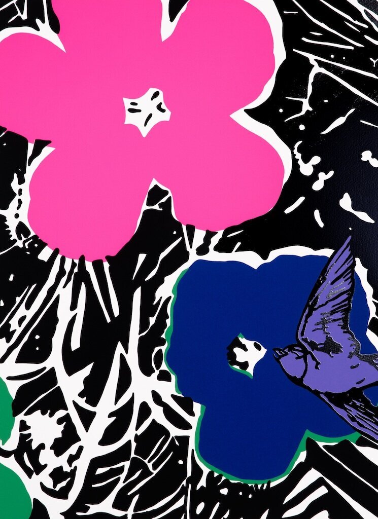 Baldwin+-+Delirium+(Pink).jpeg