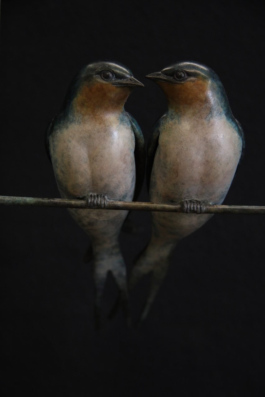 Frame-Swallows-Close-rotated.jpeg
