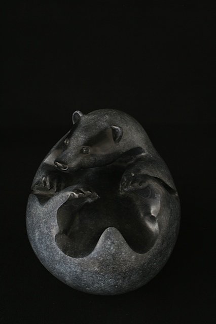 badger_2.jpeg