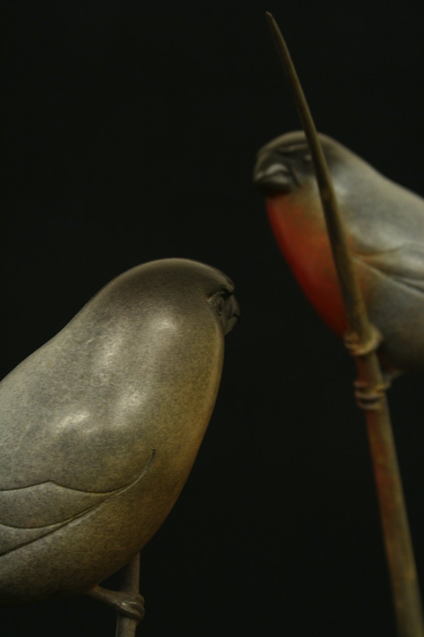 Bullfinch_1.jpeg