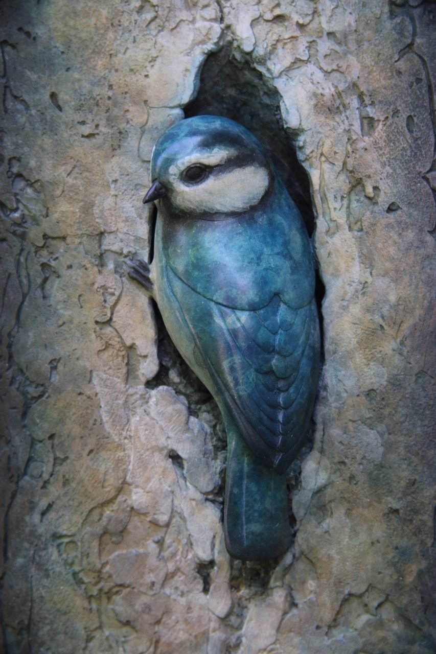 Blue-Tit-Plaque-close-up-rotated.jpeg