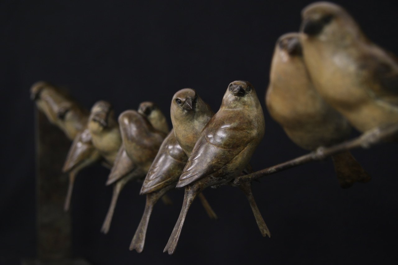 12-Sparrows-II-Land.jpeg