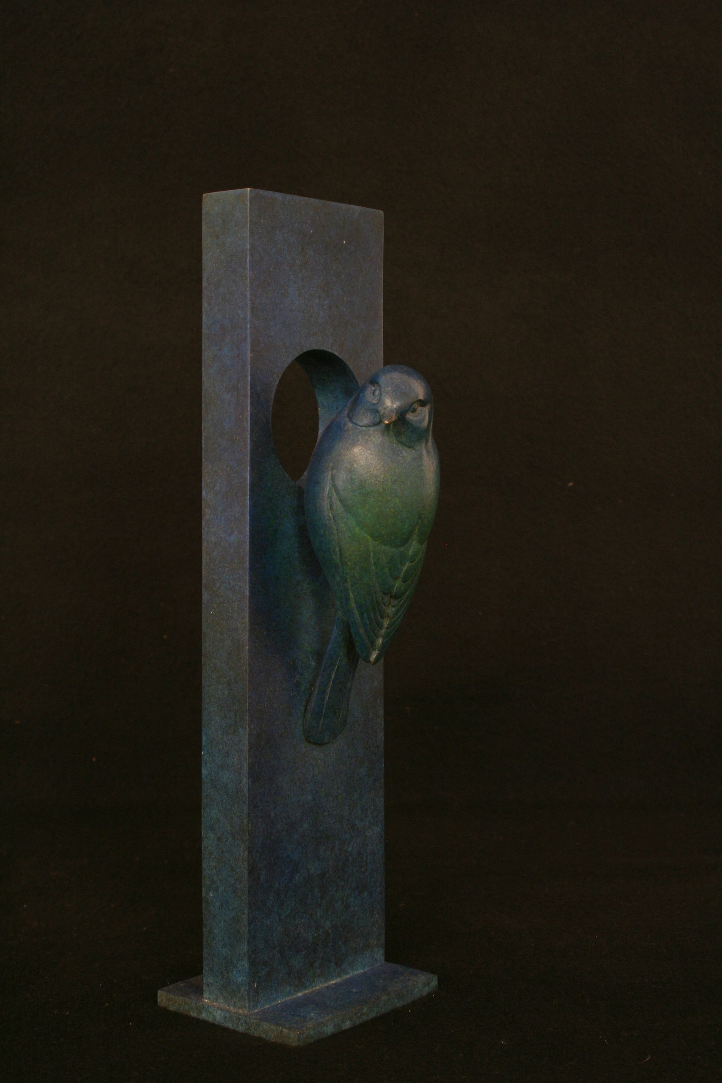 Blue-Tit_2.jpeg