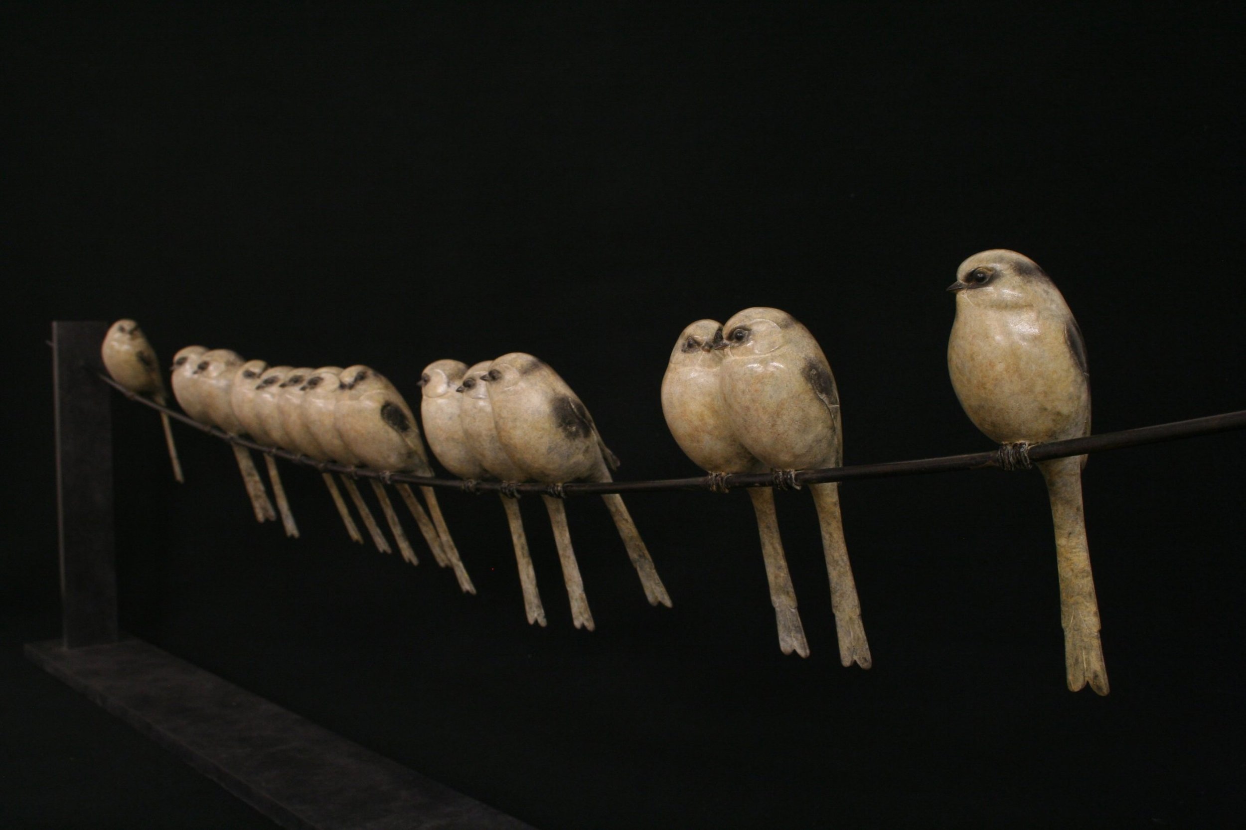 14-Long-Tailed-Tits-scaled.jpeg