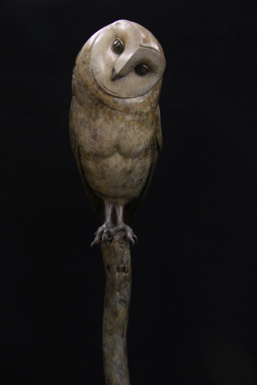 Adam Binder Barn Owl 3.jpeg