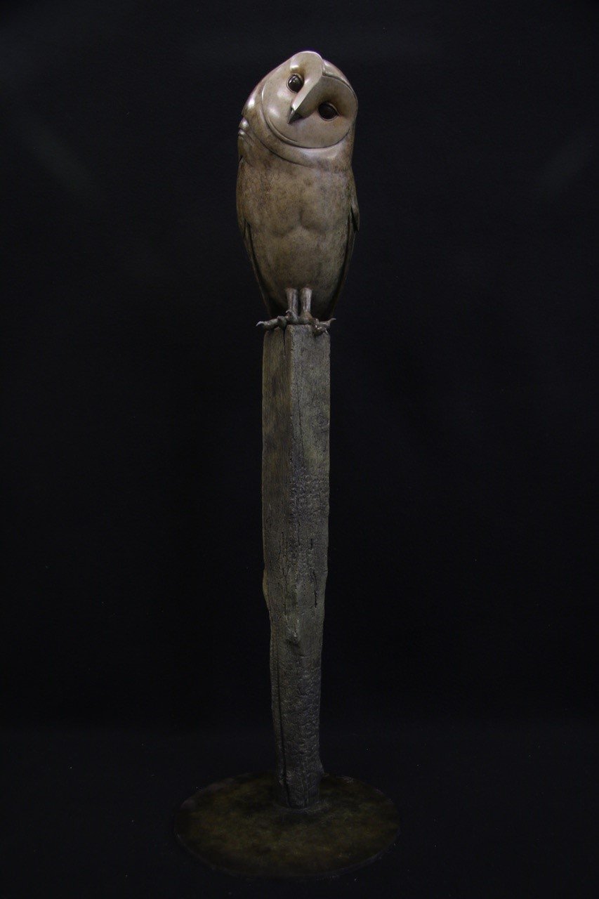 Adam Binder Barn Owl 1.jpeg