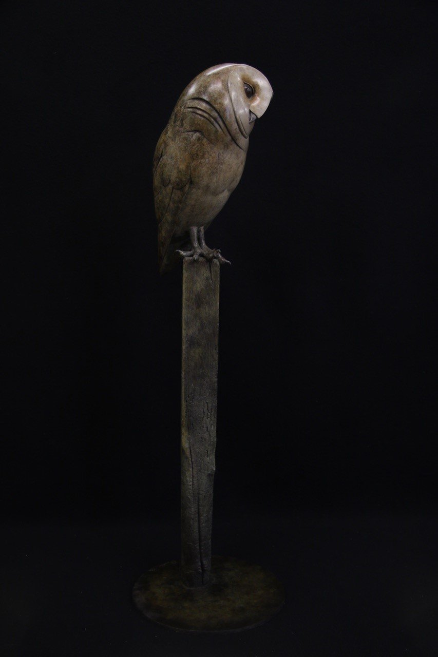 Adam Binder Barn Owl 2.jpeg