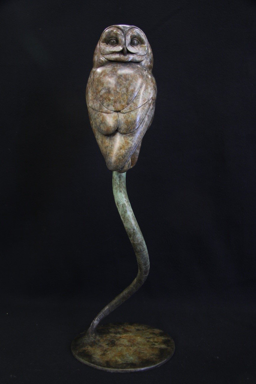 Adam Binder Tawny Owl 1.jpeg