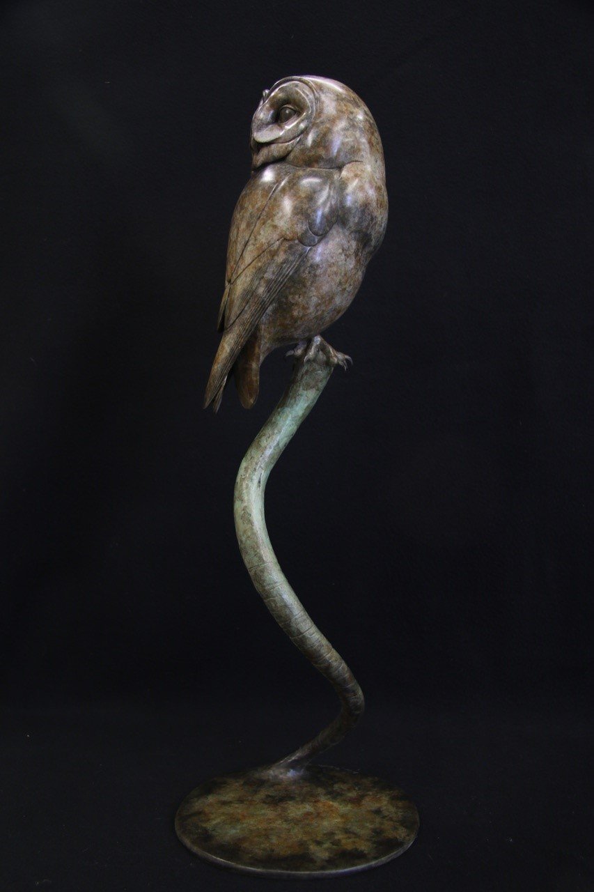 Adam Binder Tawny Owl 2.jpeg
