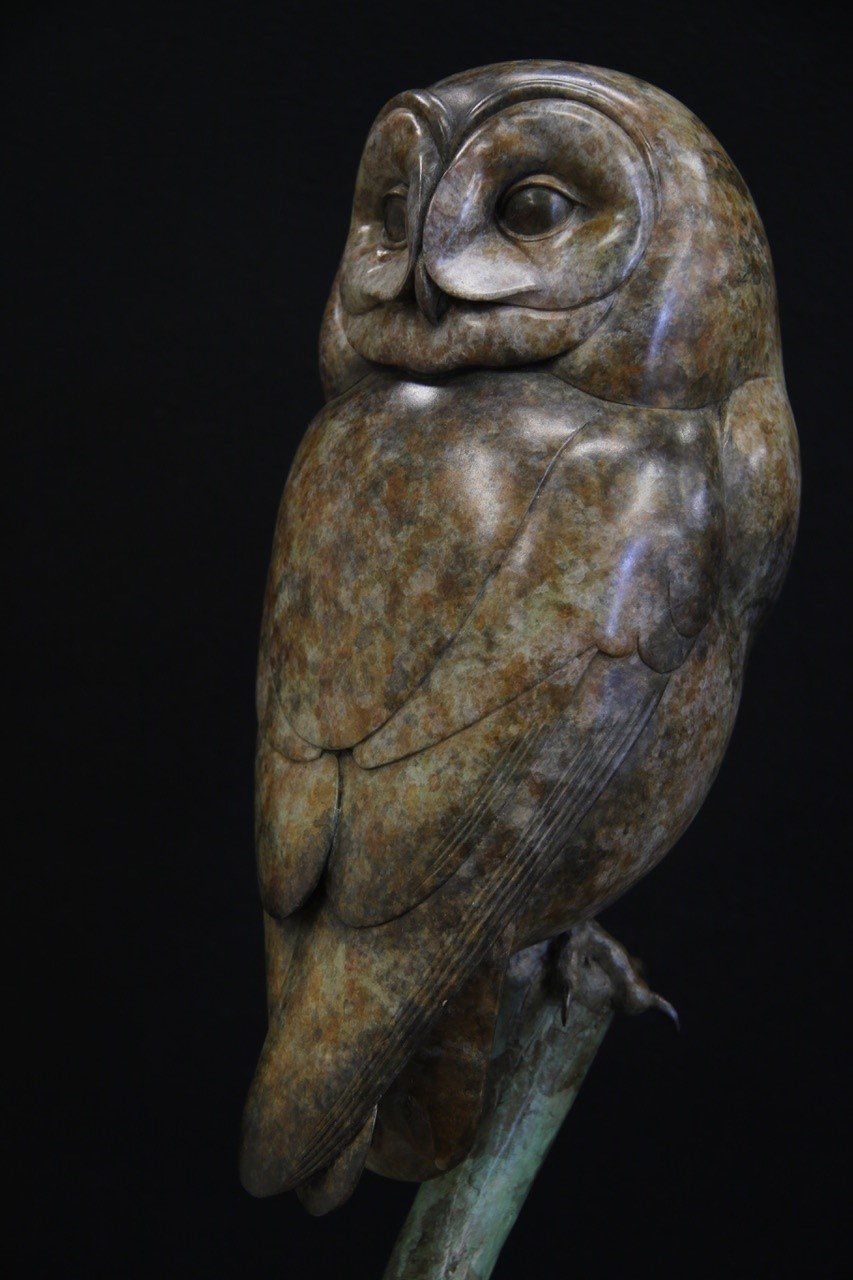 Adam Binder Tawny Owl 3.jpeg