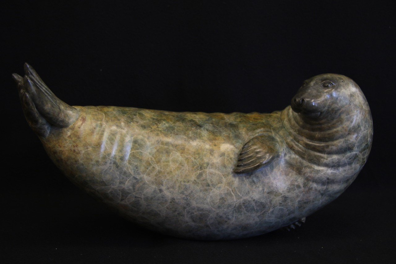 Adam Binder Grey Seal 1.jpeg