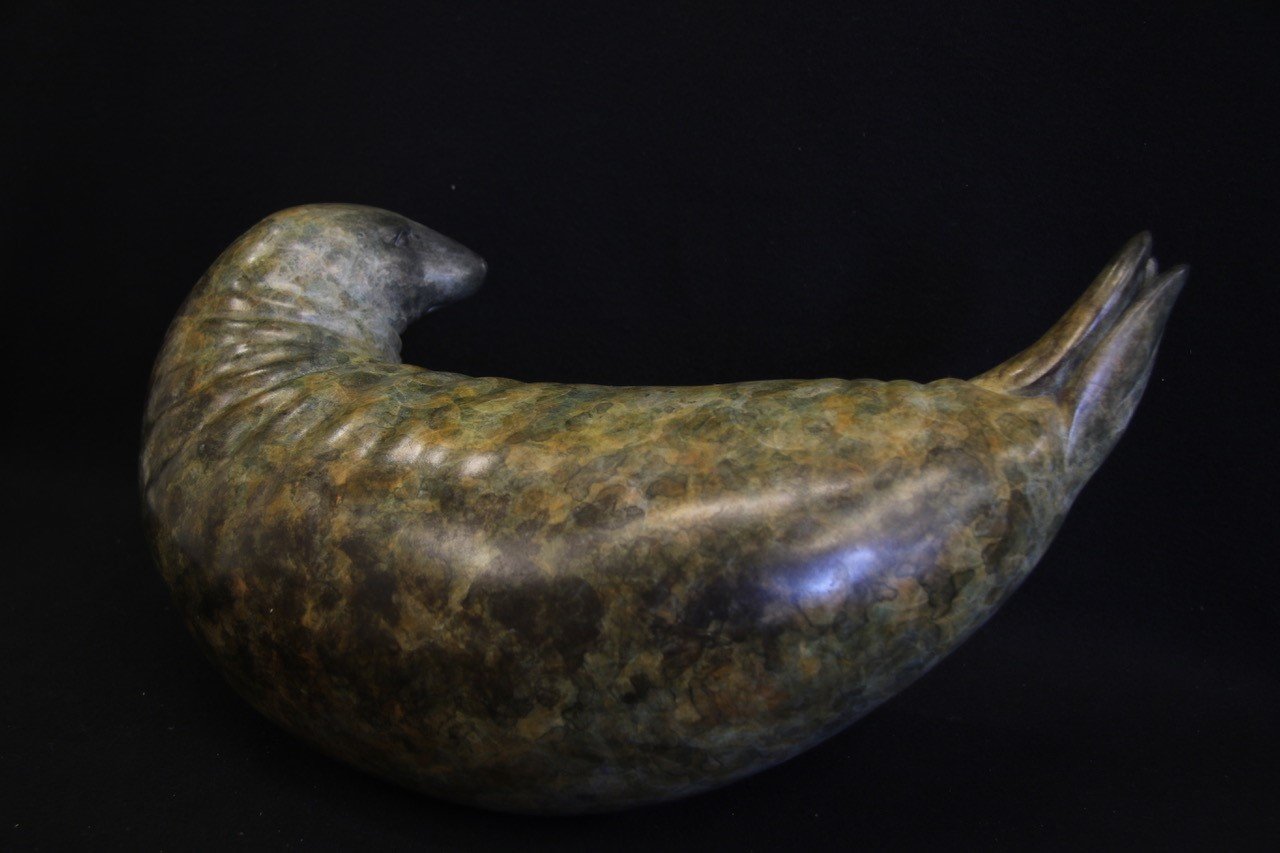 Adam Binder Grey Seal 2.jpeg