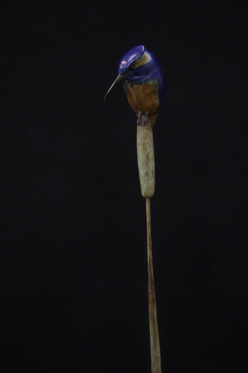 Adam Binder Single Kingfisher 2.jpeg
