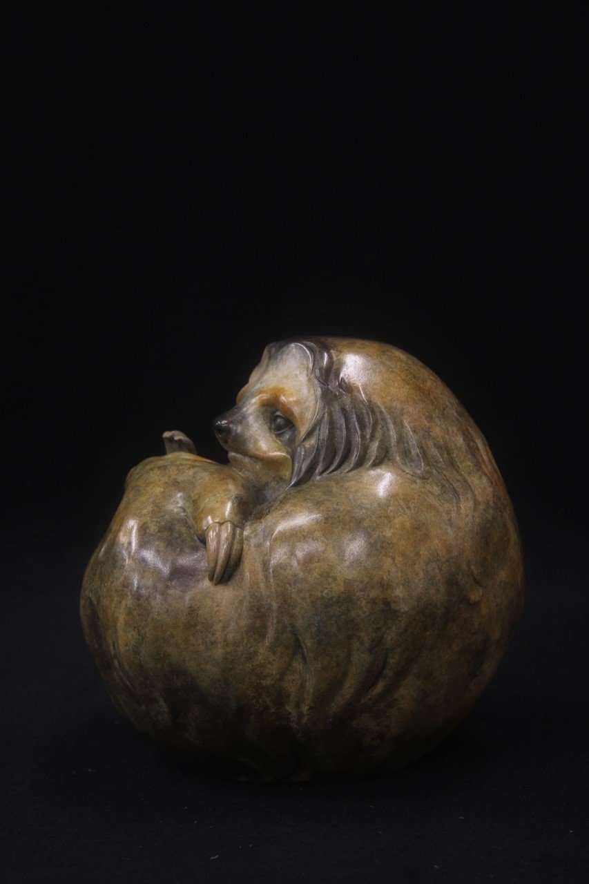 Adam Binder Sloth 3.jpeg