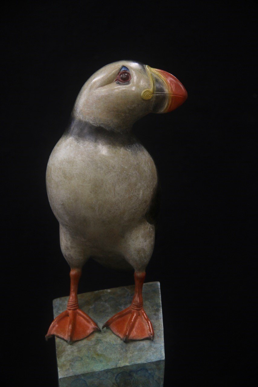 Adam Binder Puffin 1.jpeg