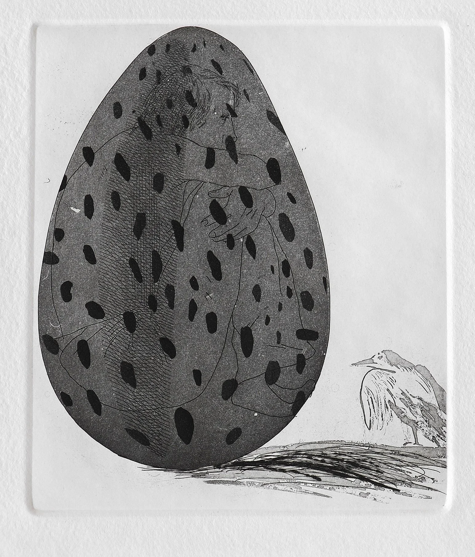 The Boy Hidden in an Egg.jpg