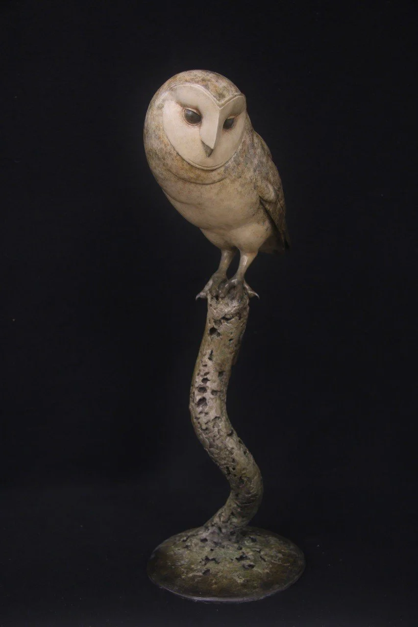 Barn-Owl-2025-2.jpg