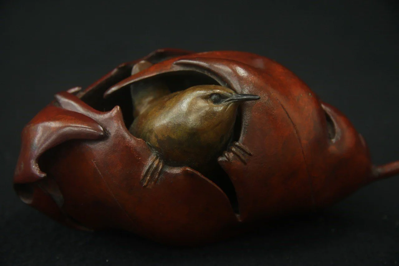 Maple-Wren-Close.jpg