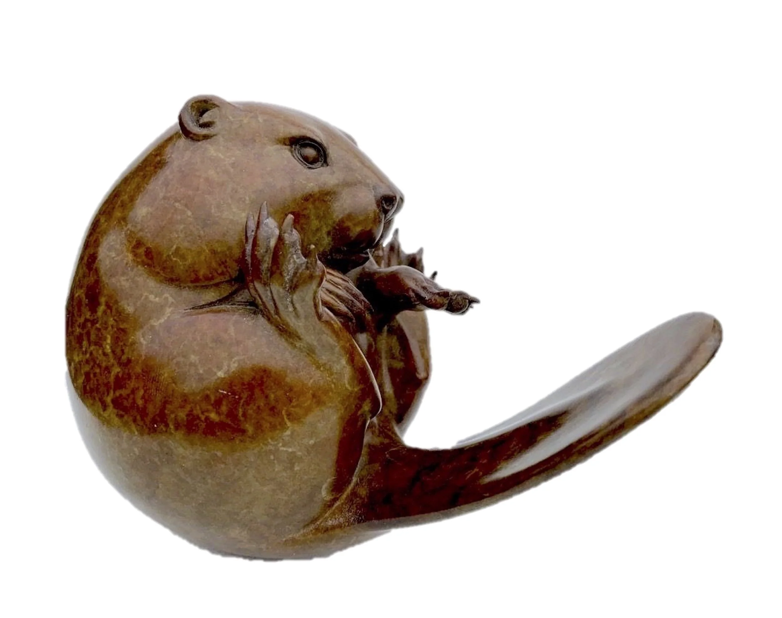 Beaver