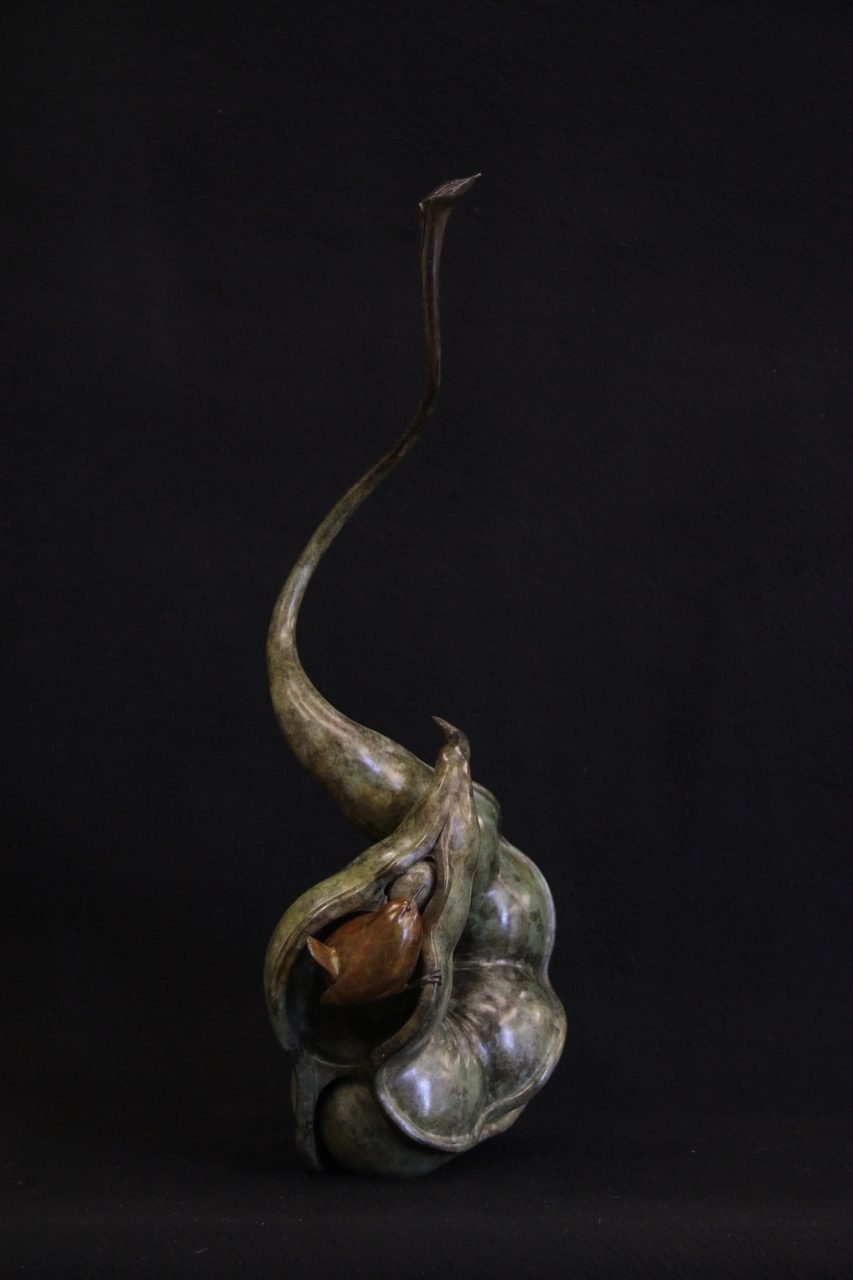 Adam Binder, Wren in a Pod 2.jpg