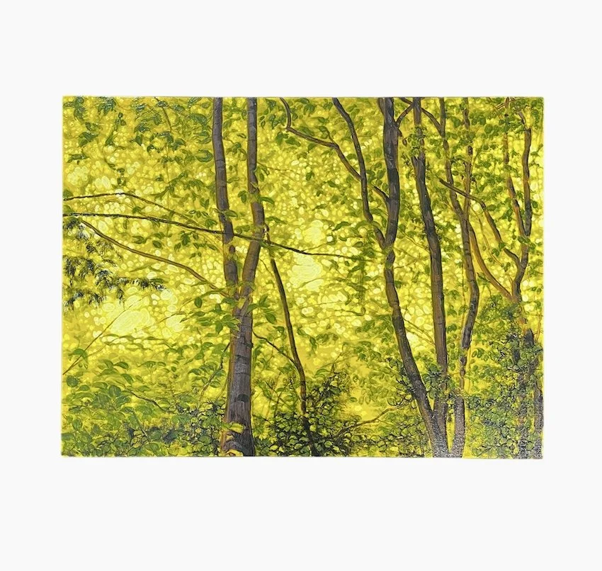 Rachel McDonnell, Overstory Understory.JPEG