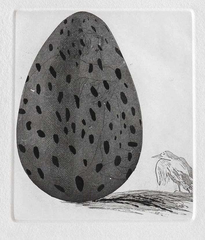 The Boy Hidden in an Egg.jpg