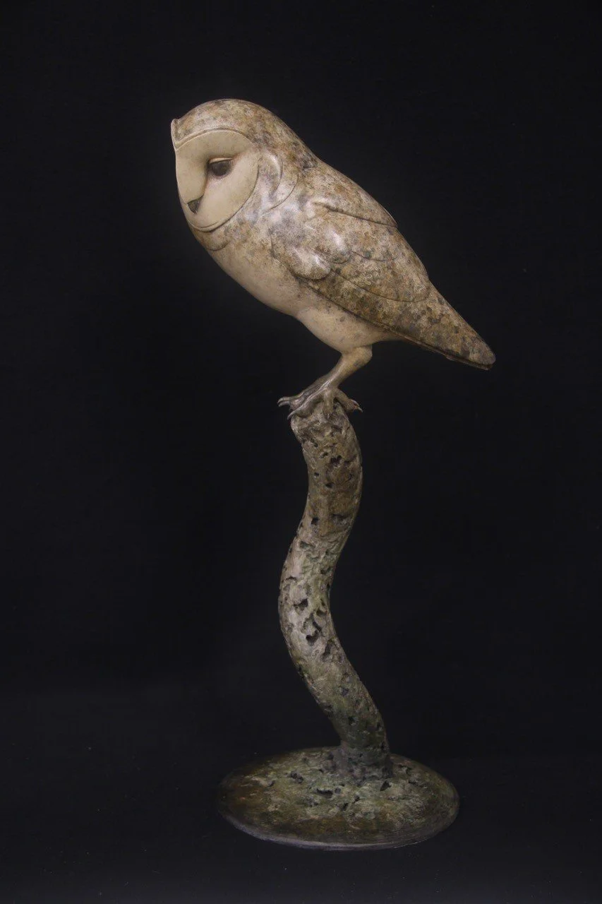 Barn-Owl-2025.jpg