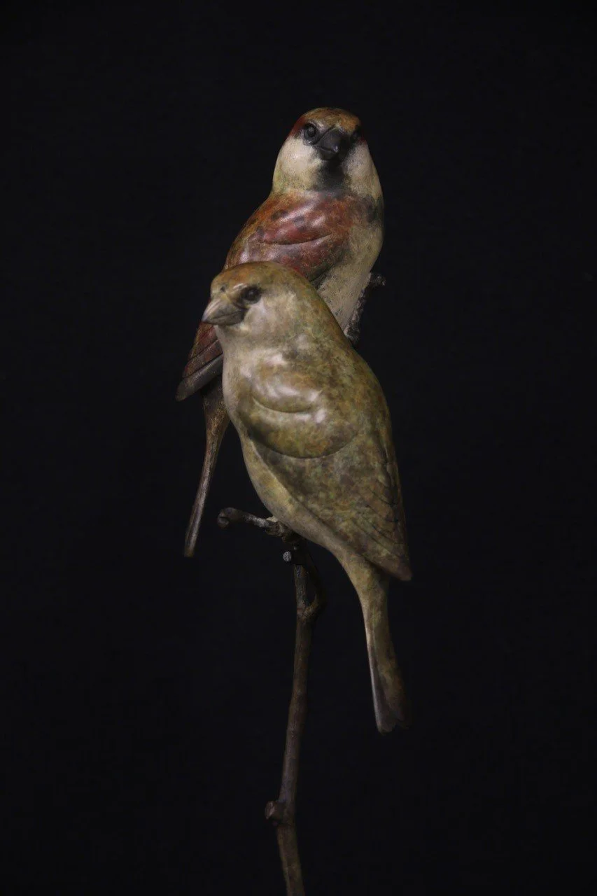 Pair-of-Sparrows-2025-Close.jpg