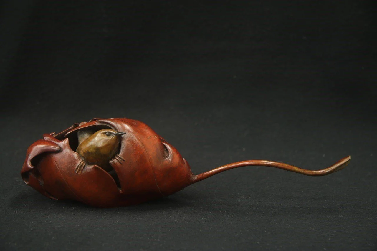 Maple-Wren-2.jpg