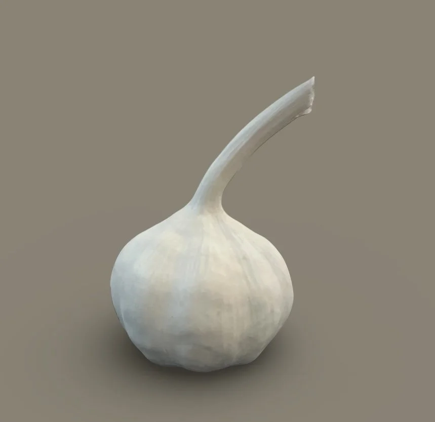 Veda Hallowes, Garlic 9.JPEG