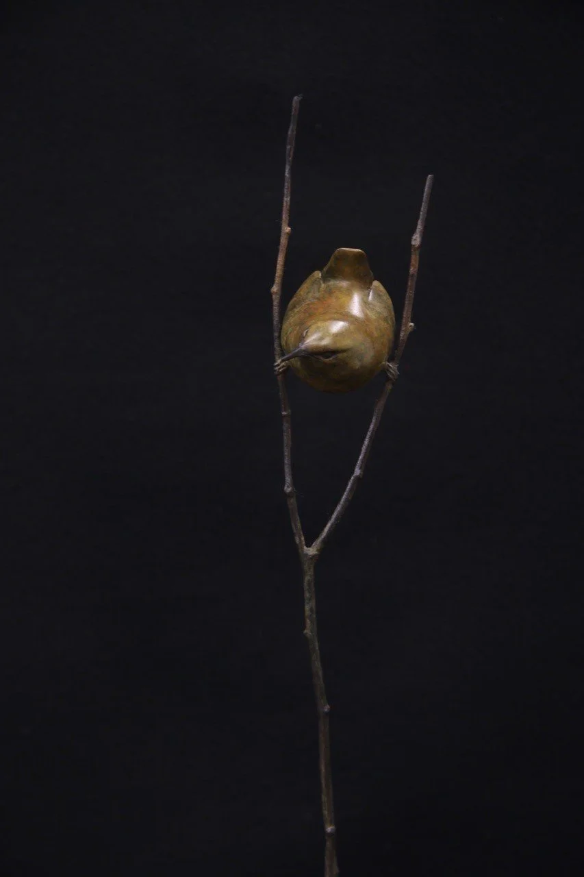 Wren-2025.jpg