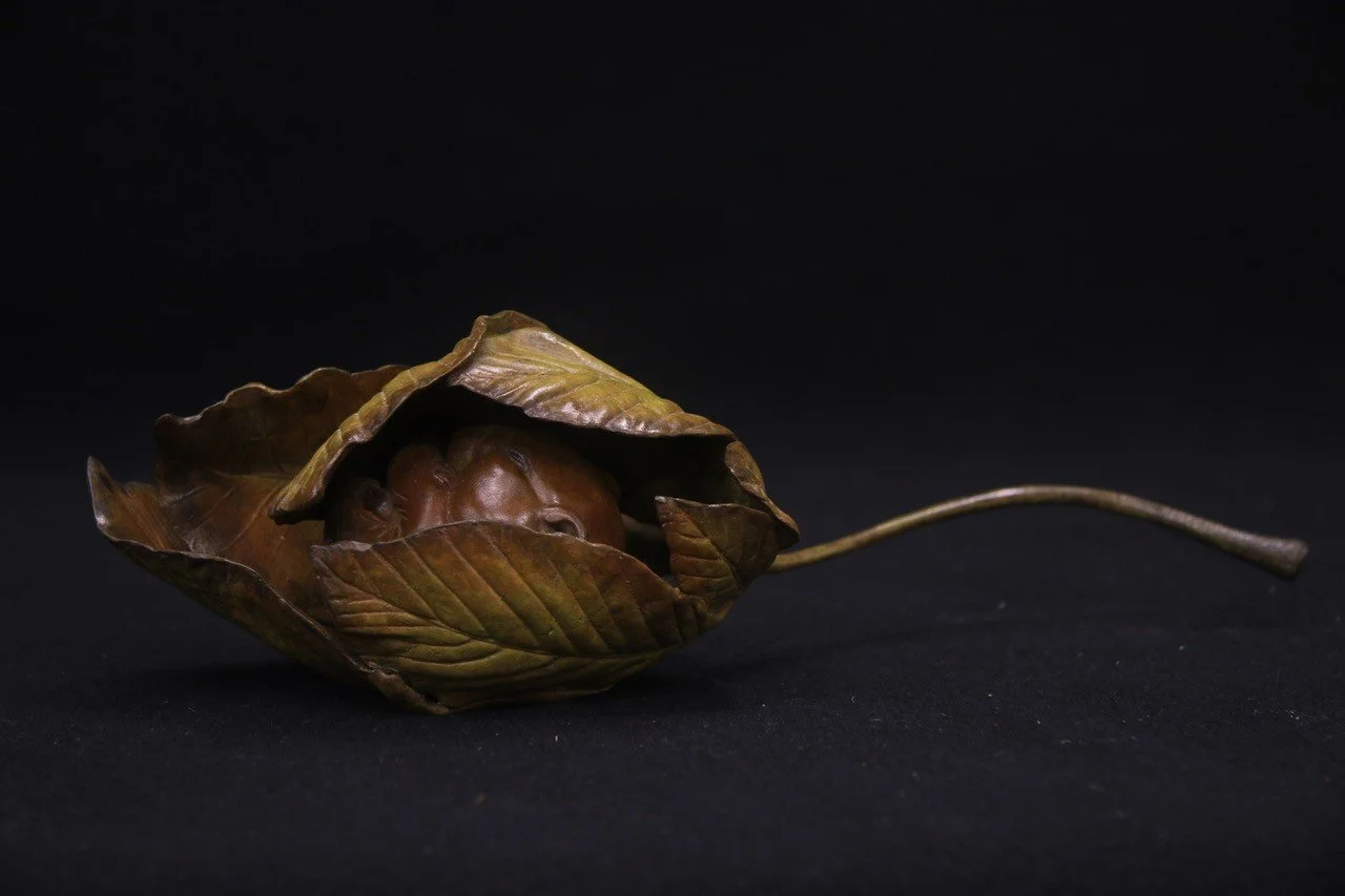 Chestnut-Dormouse.jpg