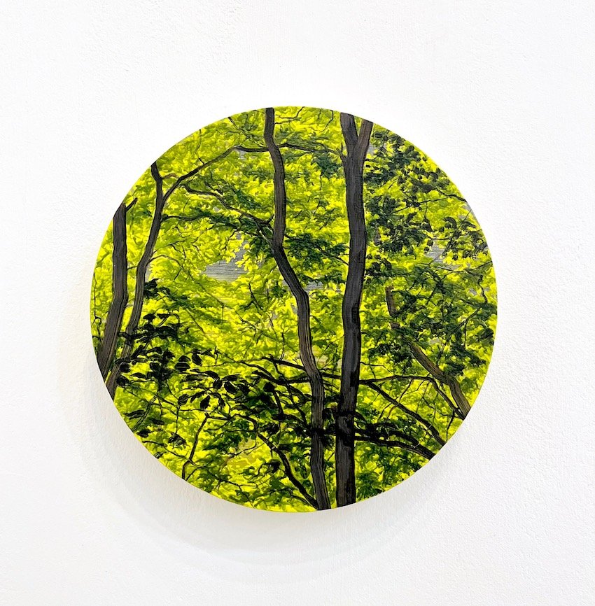 Rachel McDonnell, Glimpse 1.jpg