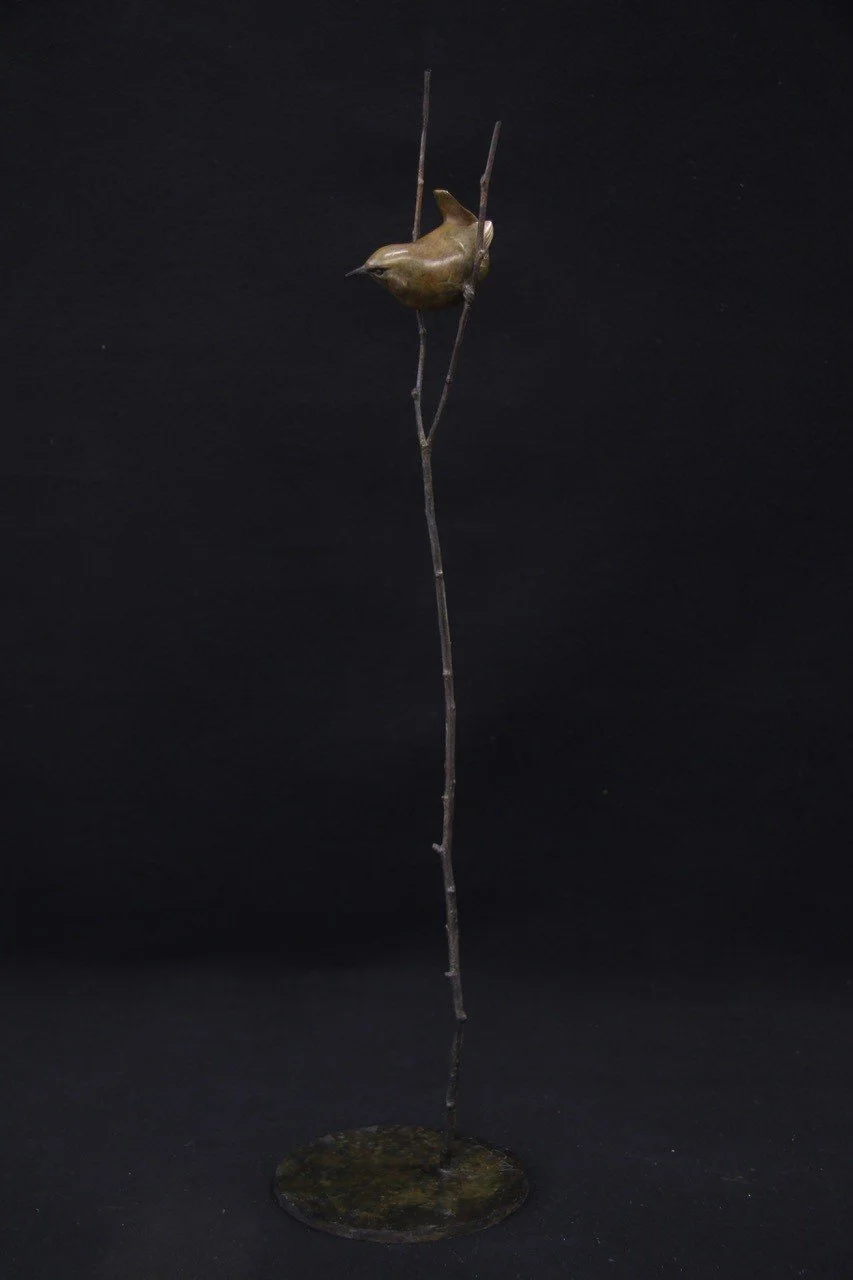 Wren-2025-3.jpg