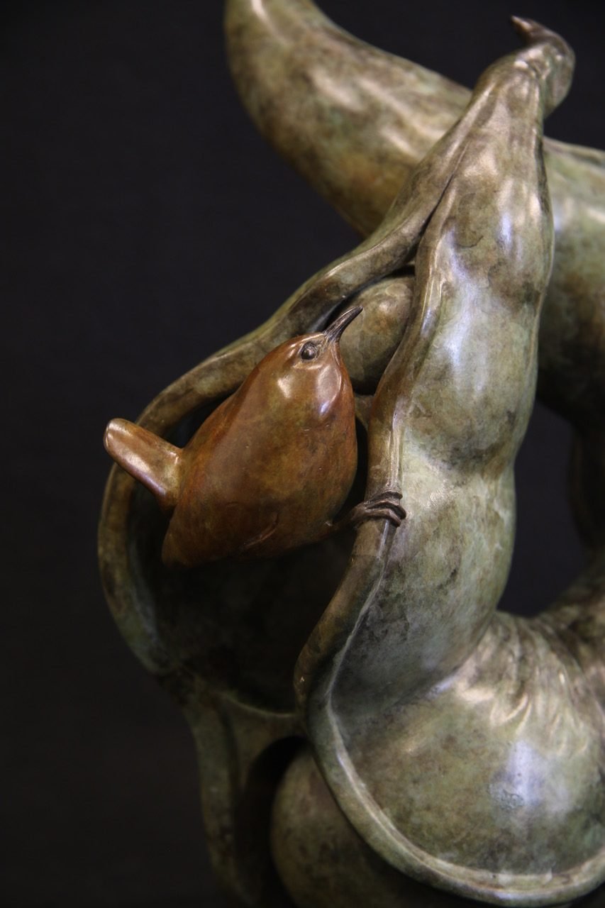 Adam Binder, Wren in a Pod 4.jpg