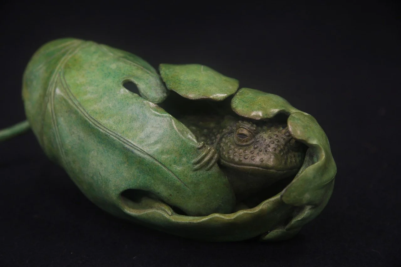 Oak-Toad.jpg