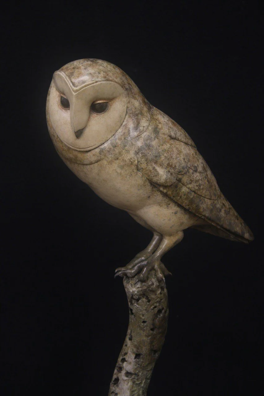 Barn-Owl-2025-Close.jpg