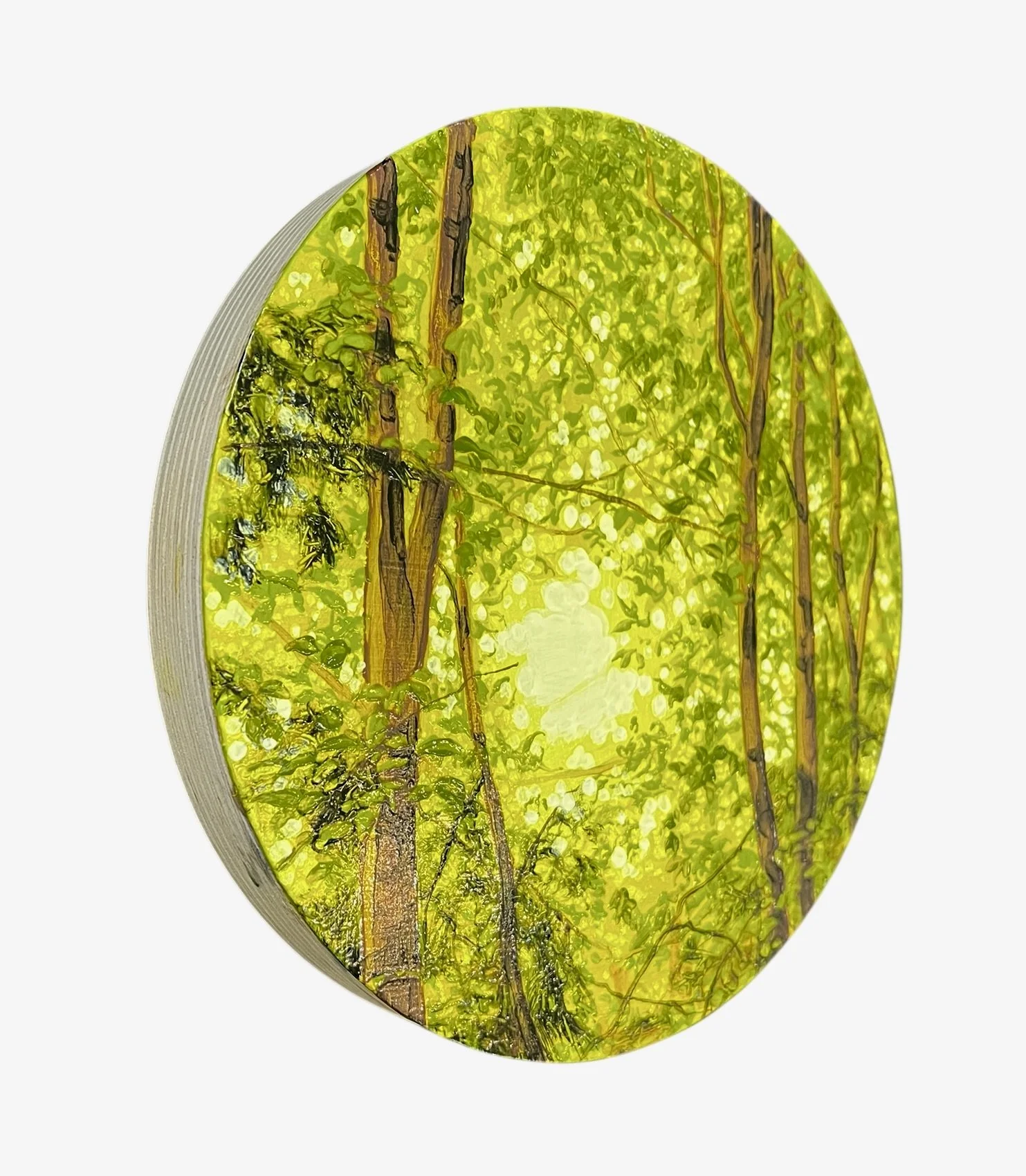 Rachel McDonnell, Grove 2.JPEG