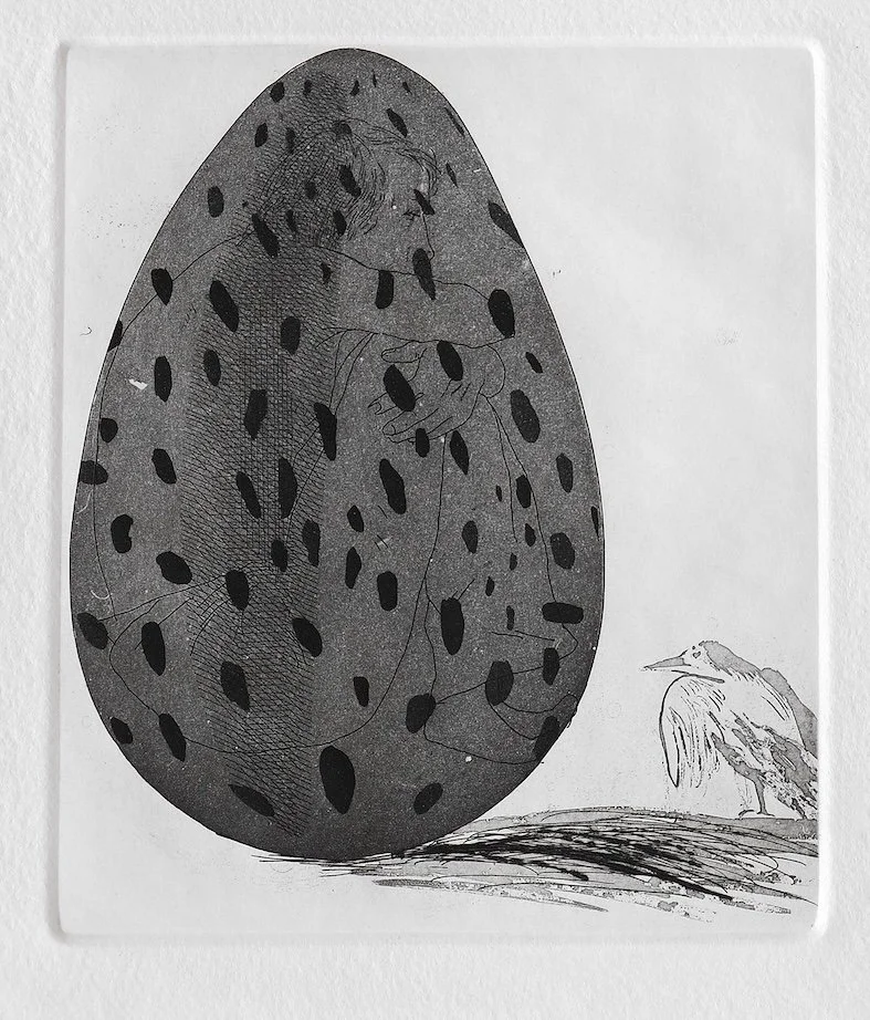 The Boy Hidden in an Egg