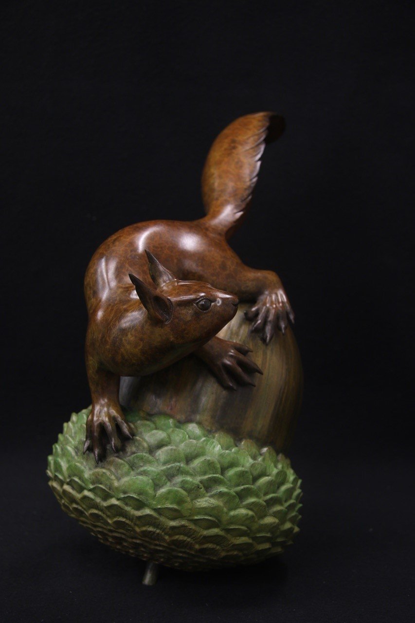 Adam Binder Squirrel 2.jpeg
