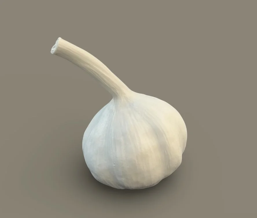 Veda Hallowes, Garlic 8.JPEG