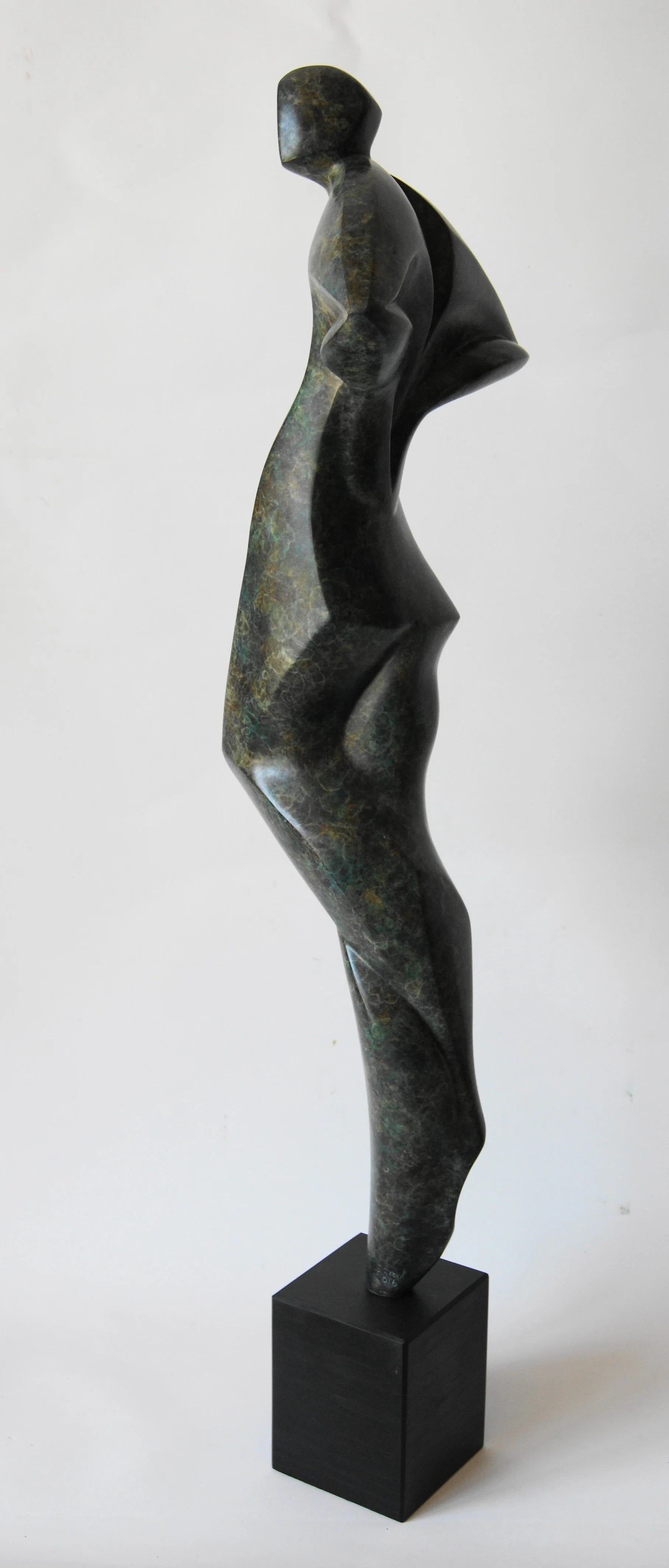 Sally Grant, Waterfall.JPG