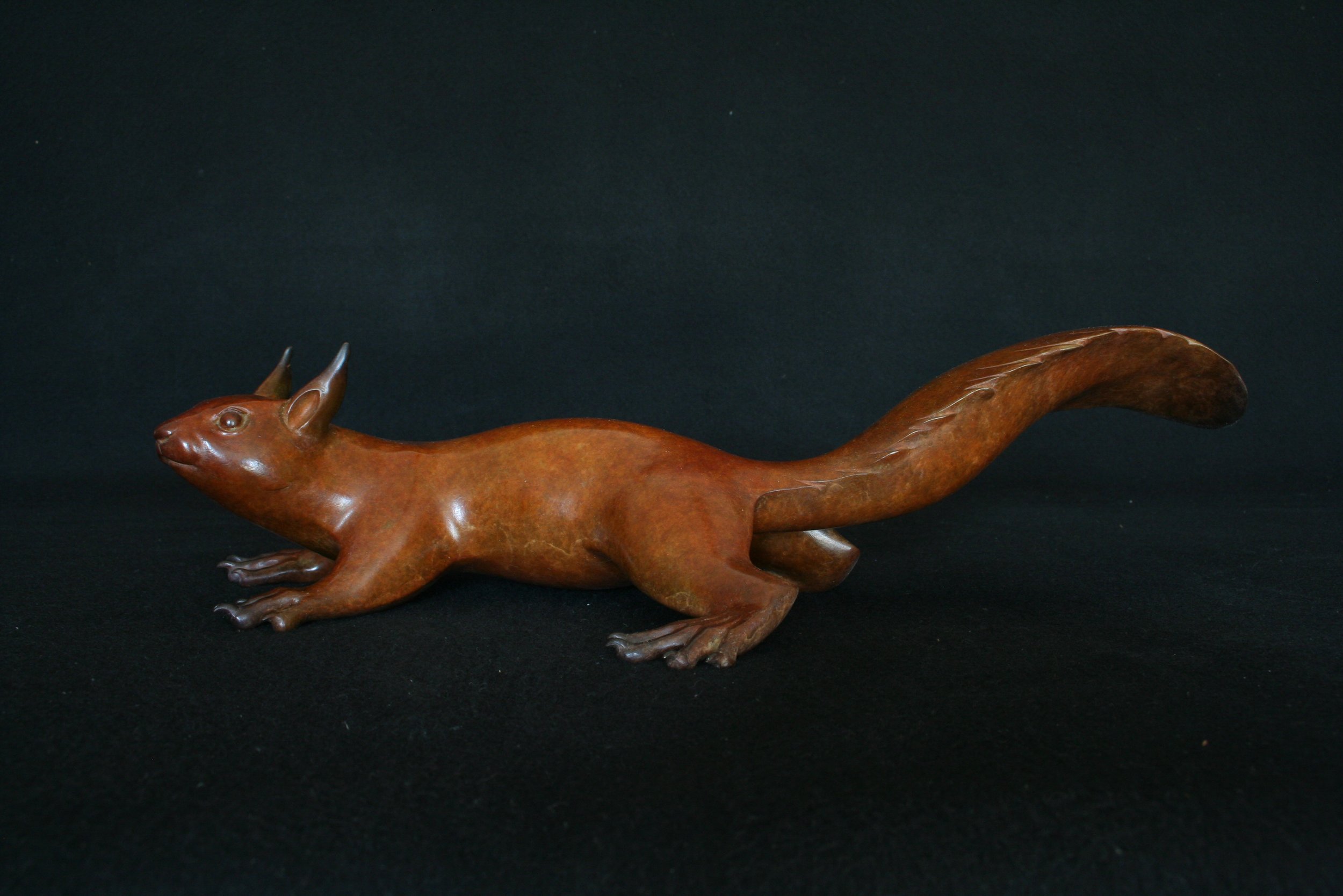 Squirrel_2.jpeg