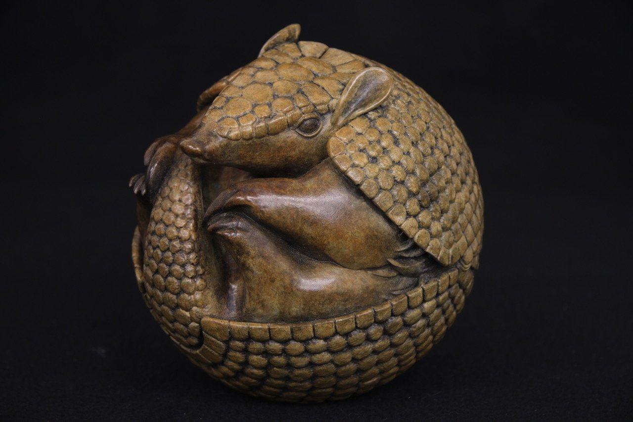 Adam Binder Armadillo 2.jpg
