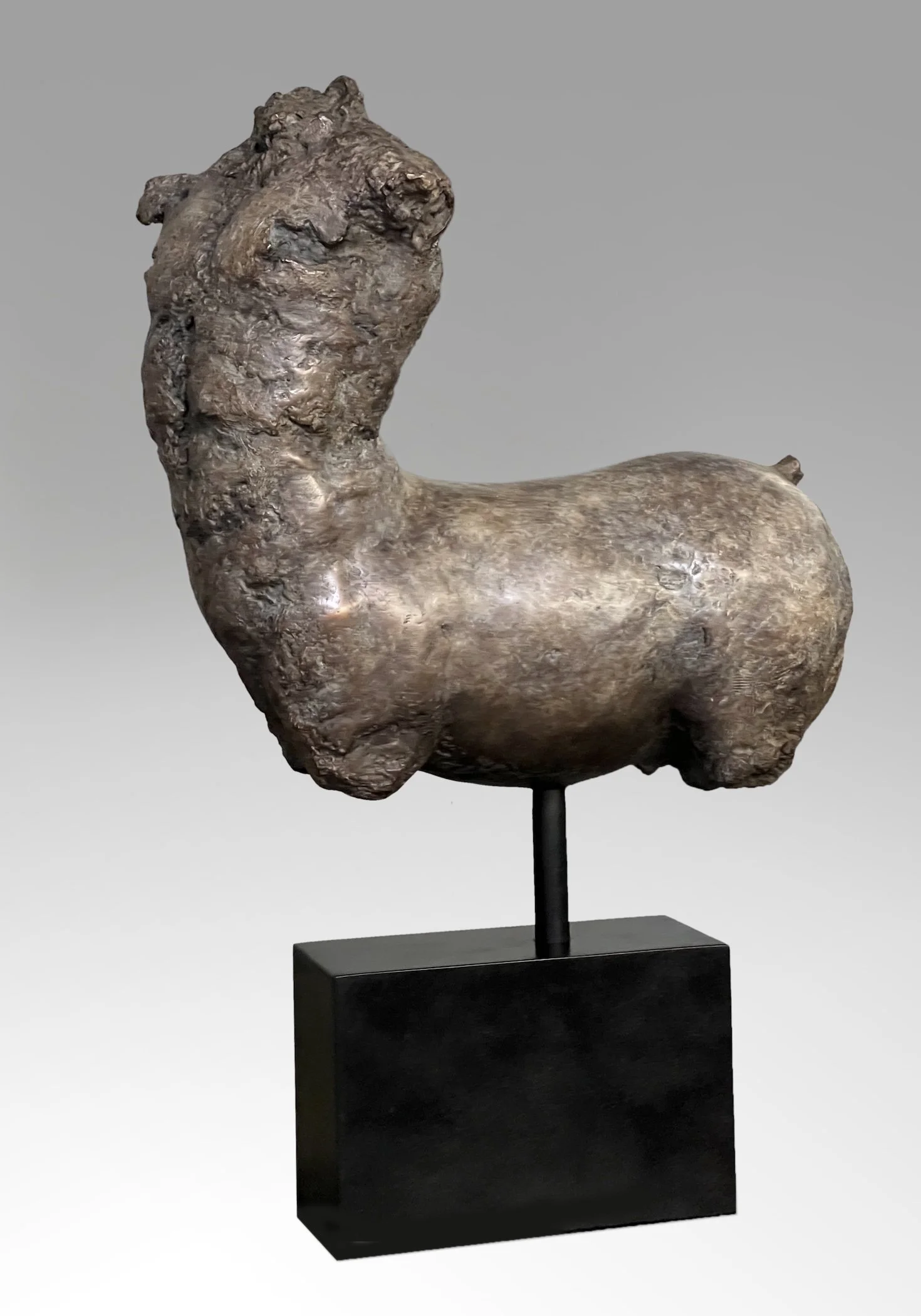 Antonio Lopez Reche, Centaur 3.jpg